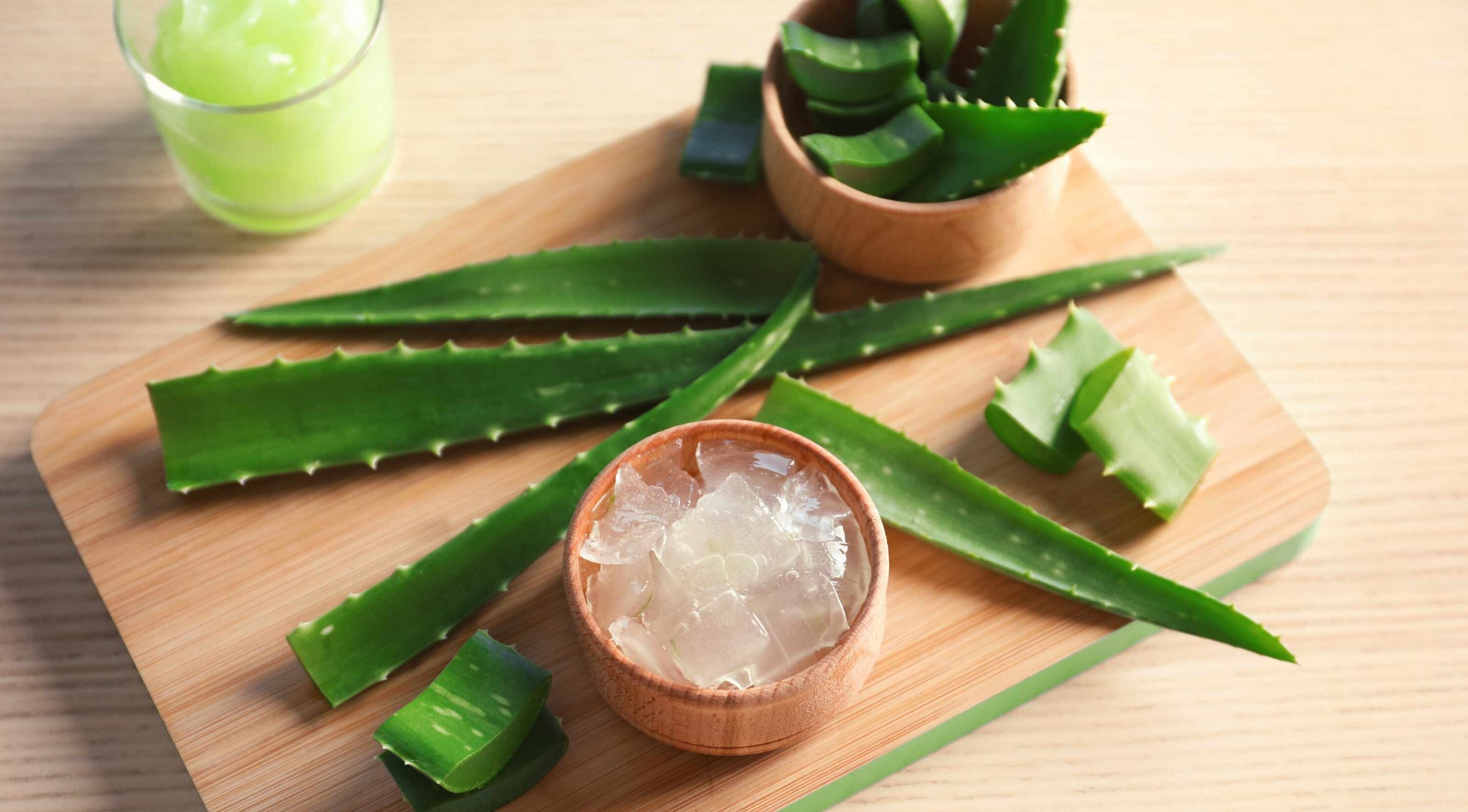 Aloe Vera