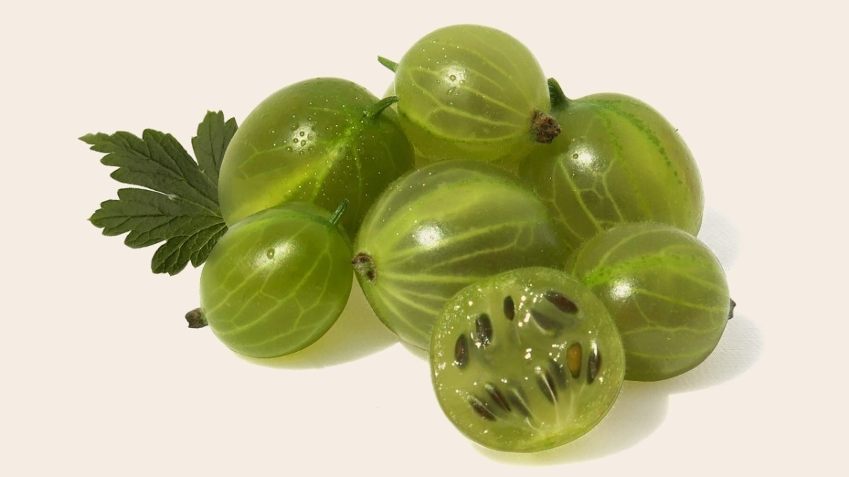 Gooseberries