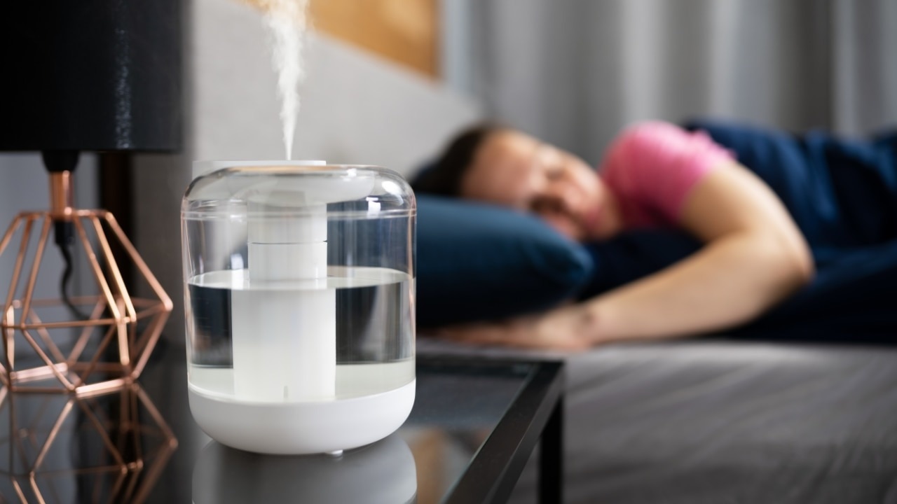 Use a humidifier on super dry day