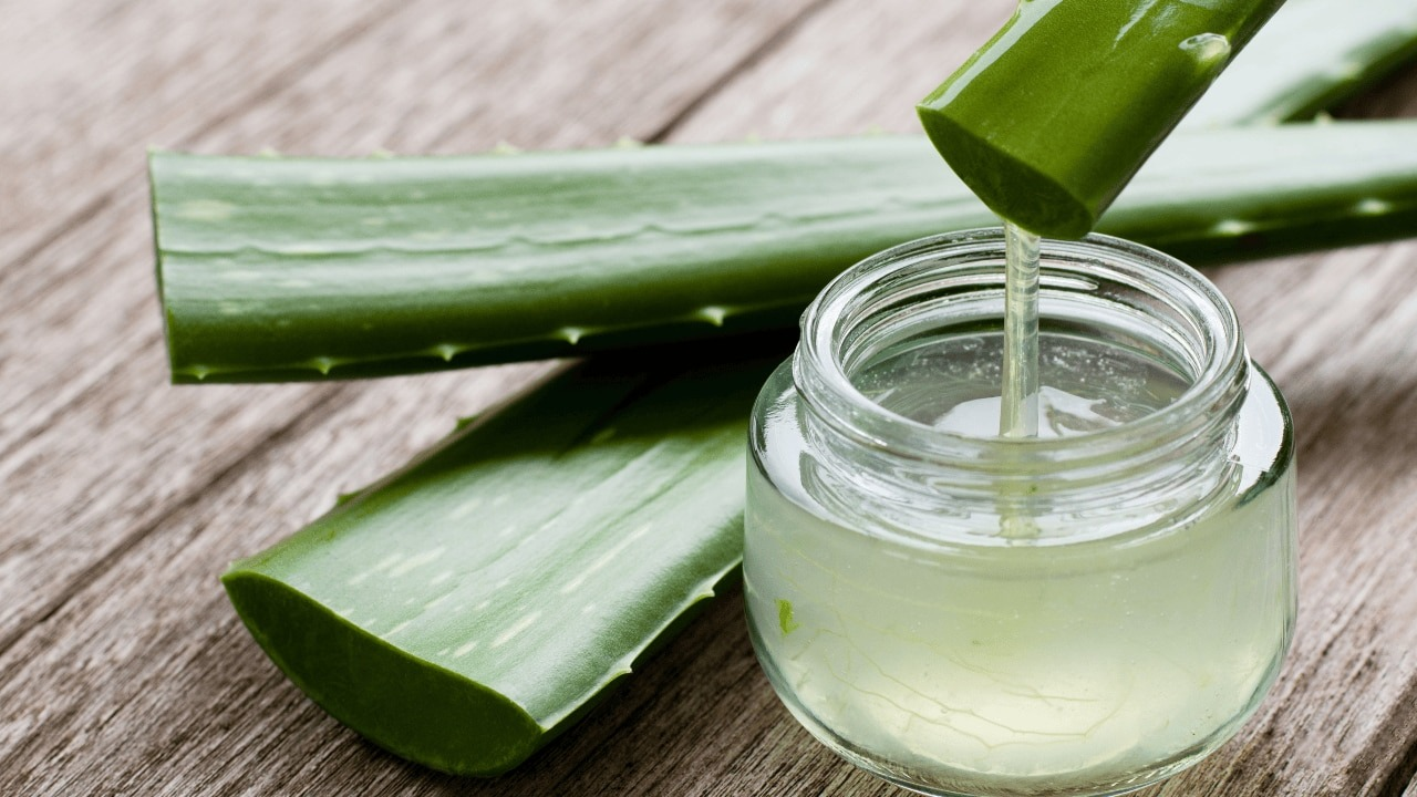 Aloe Vera – Soothes & Heals Irritated Skin