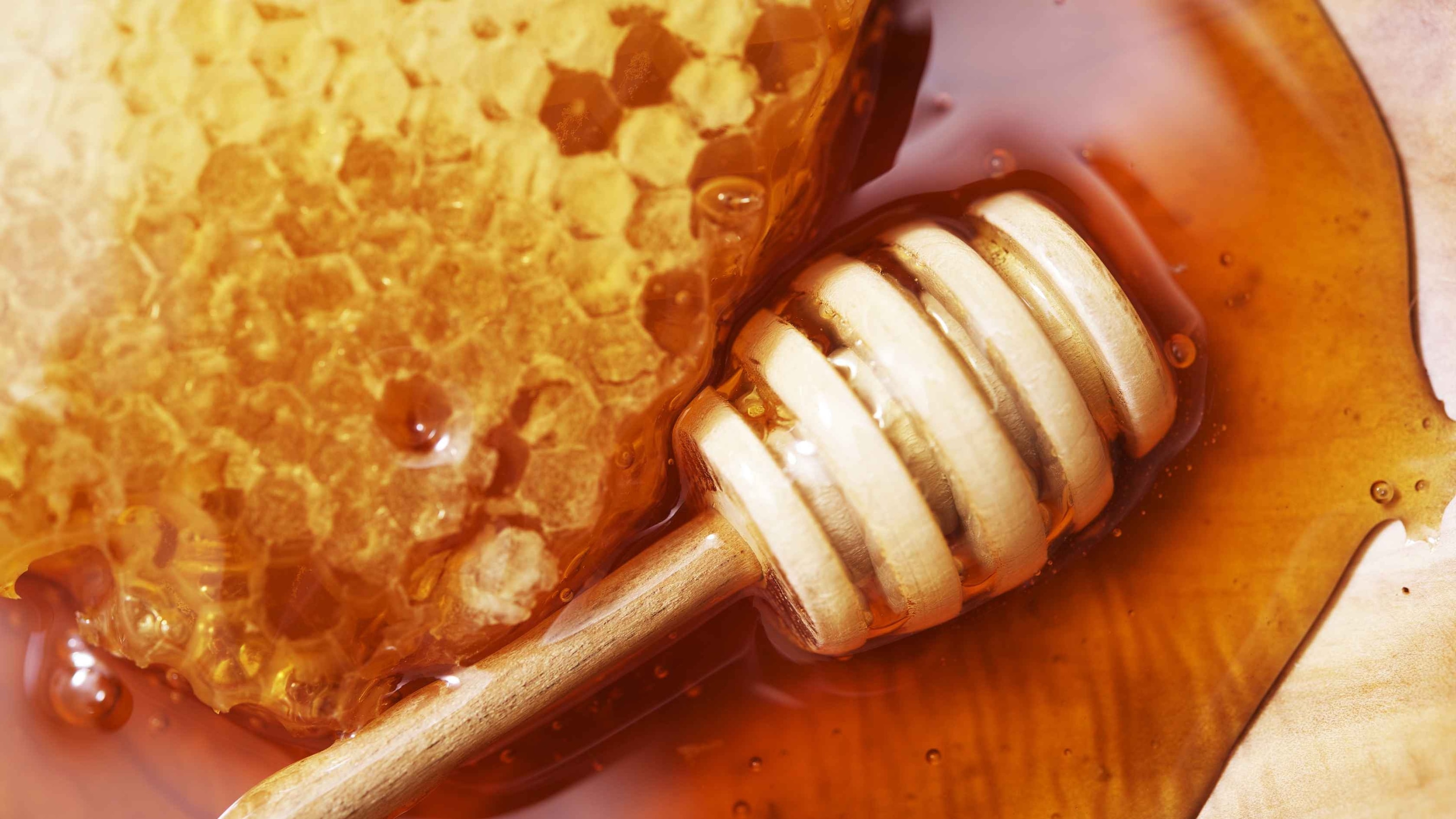 Honey