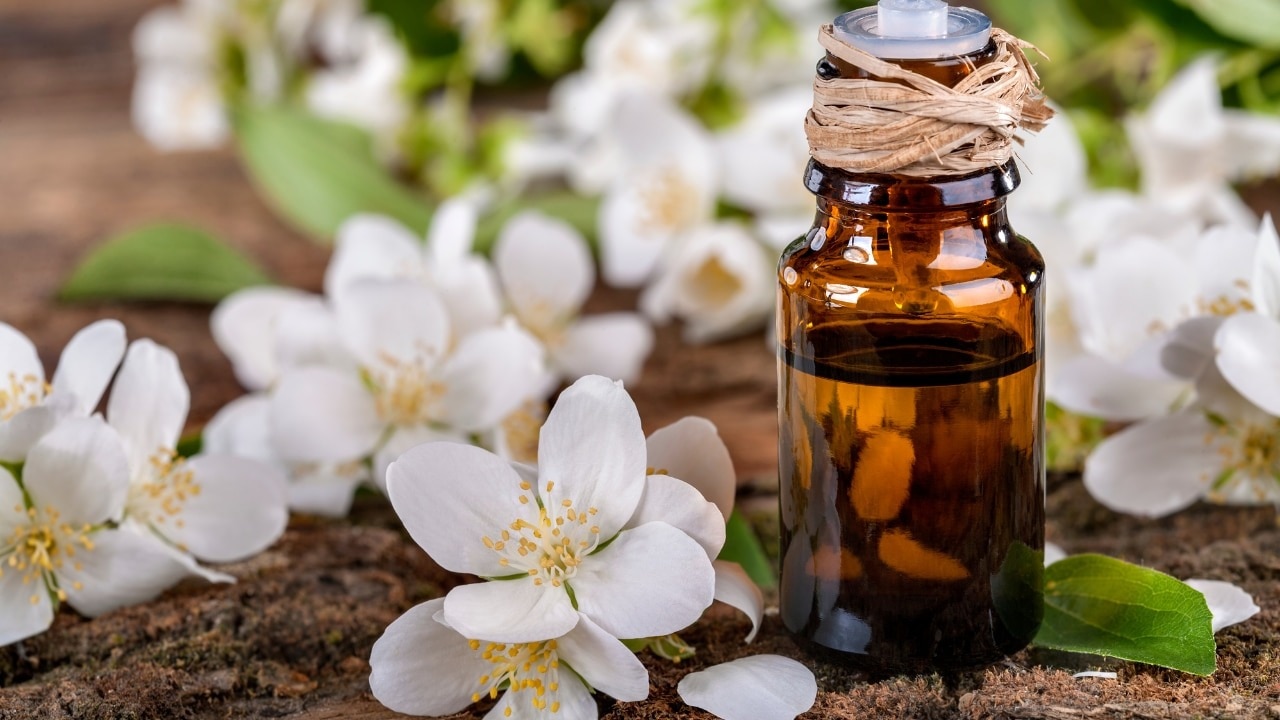 Jasmine-Essential-Oil