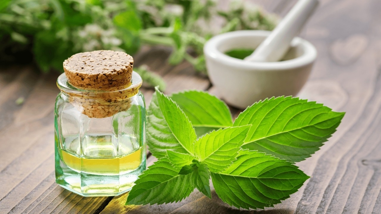 Peppermint Essential Oil – Provides a Cooling Sensation