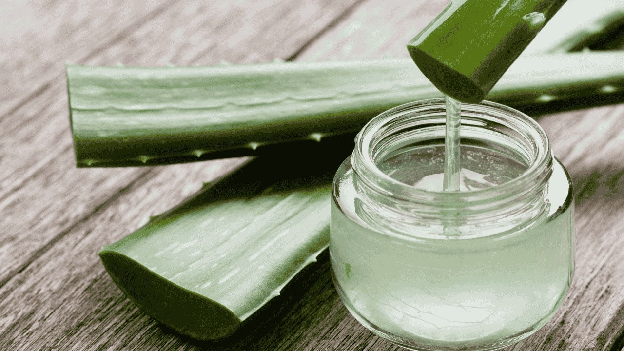 Aloe vera gel an unmatched reliant