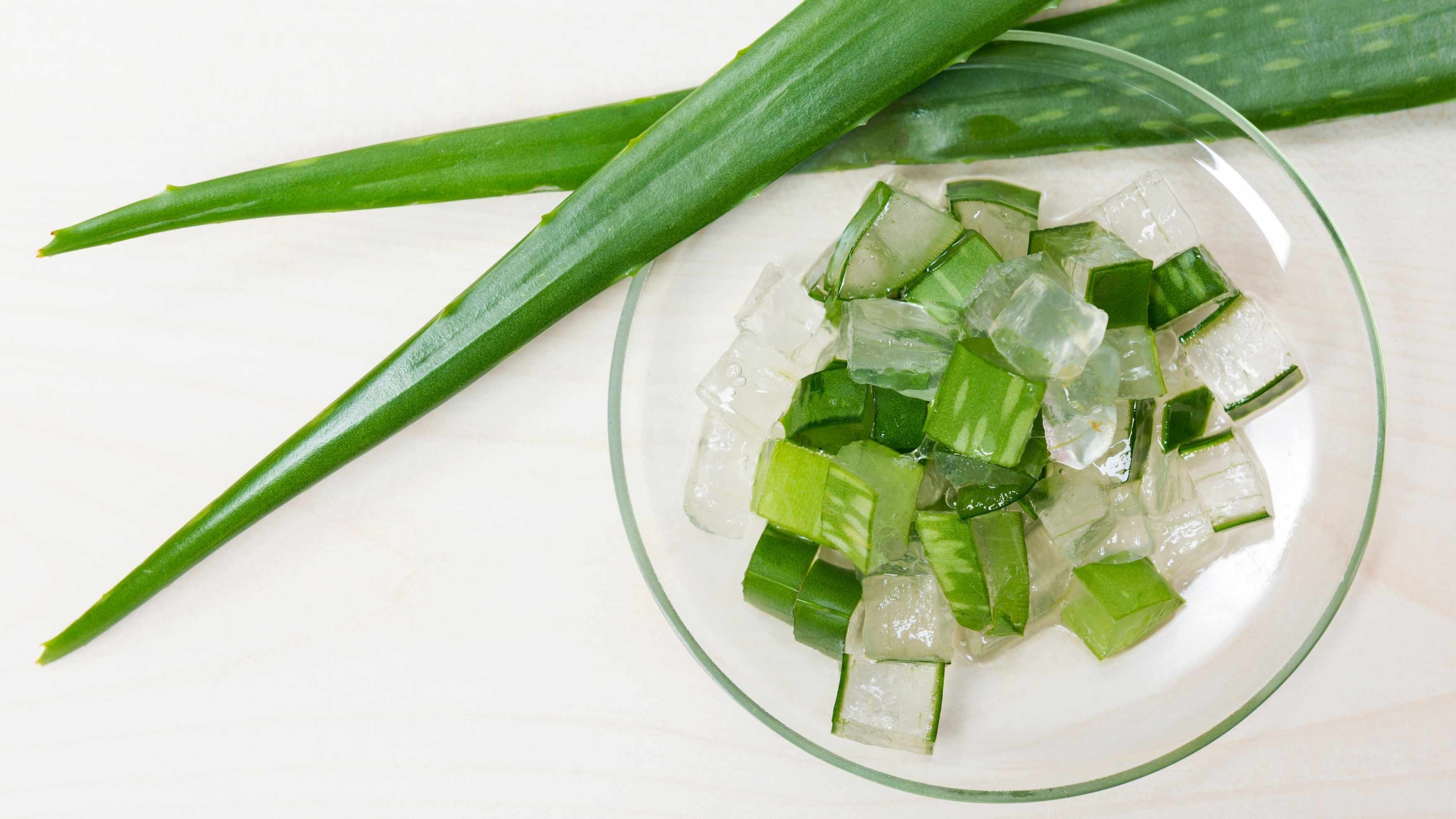 Aloe Vera for Quick Relief