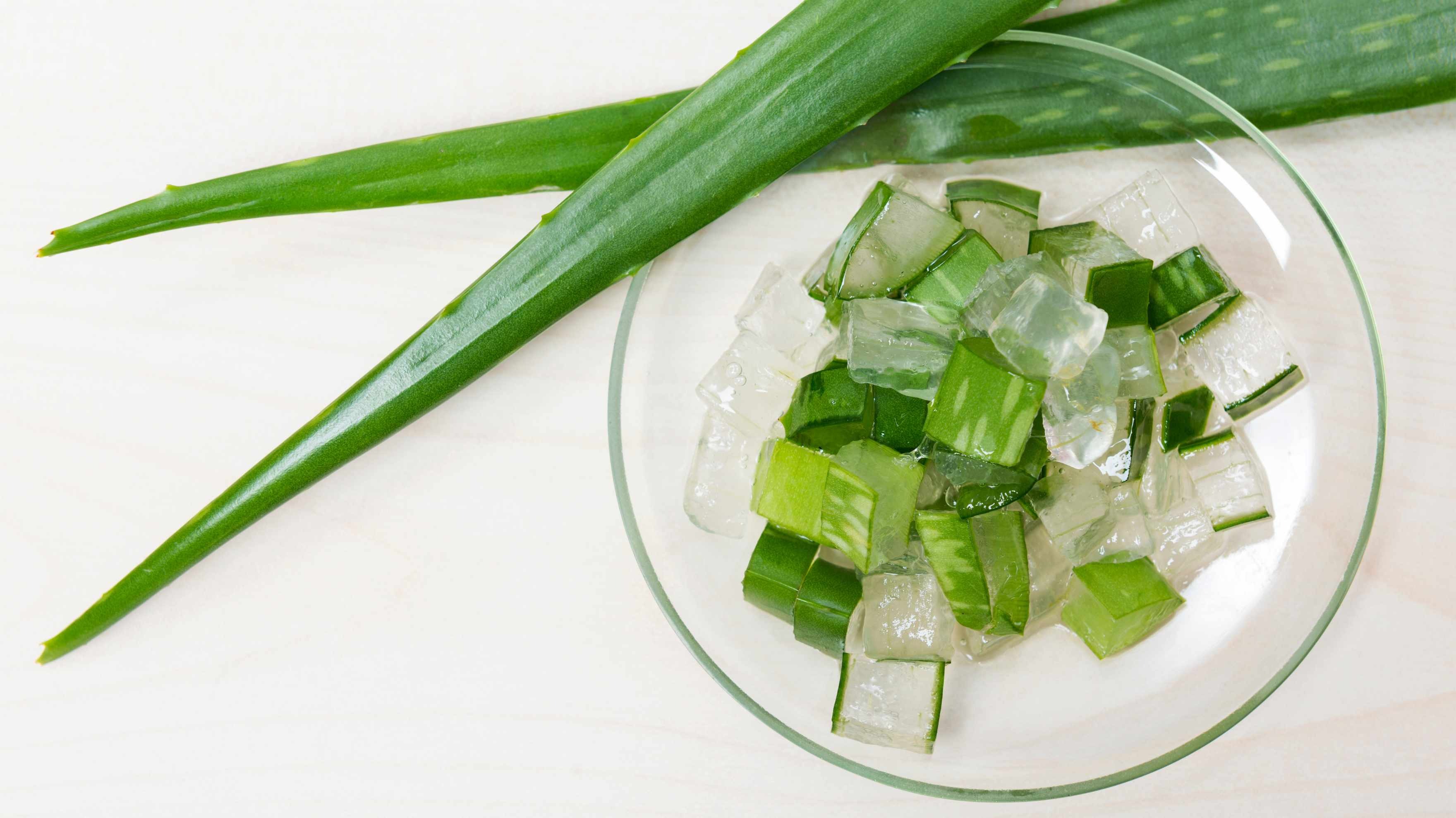 Aloe Vera for Quick Relief