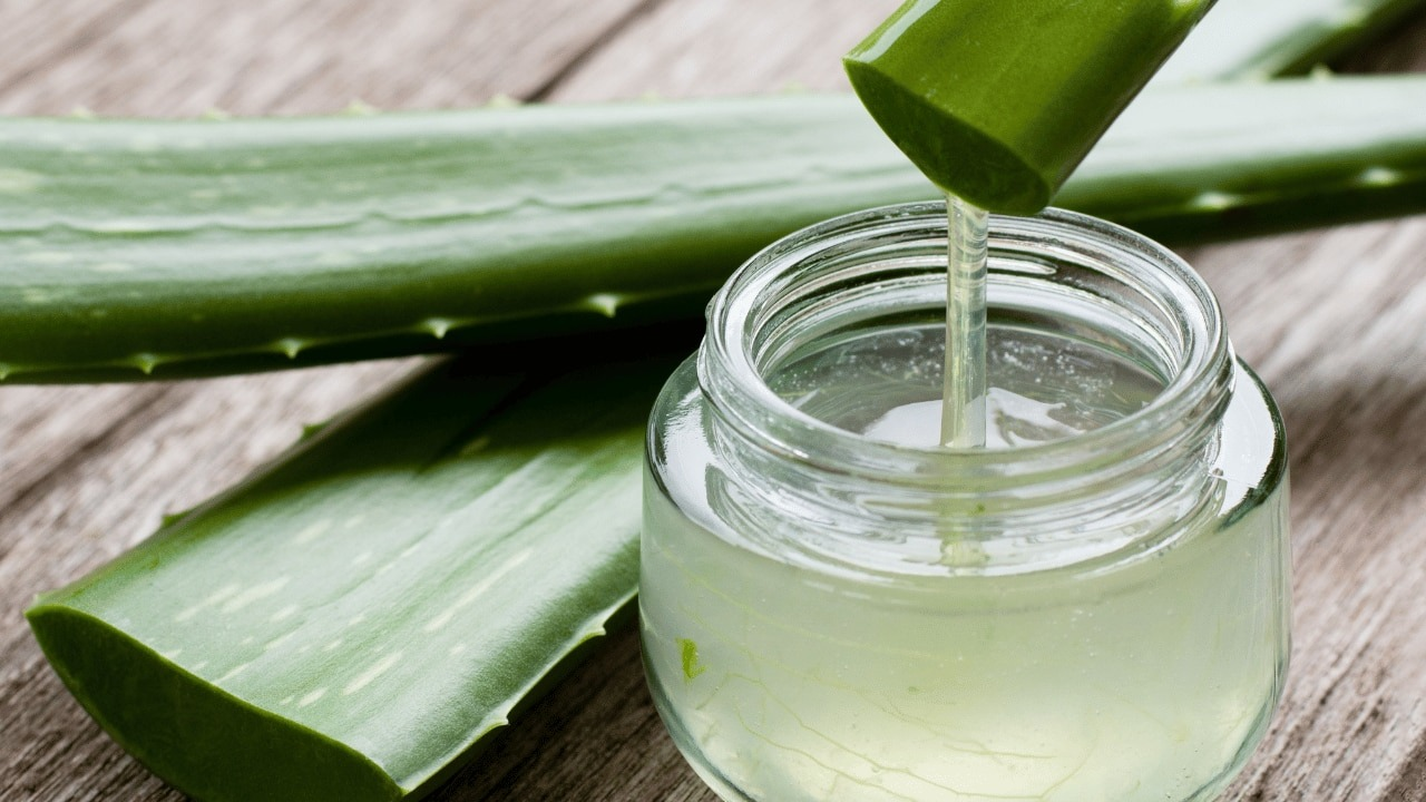 aloevera