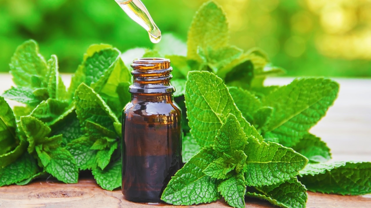 peppermint-oil