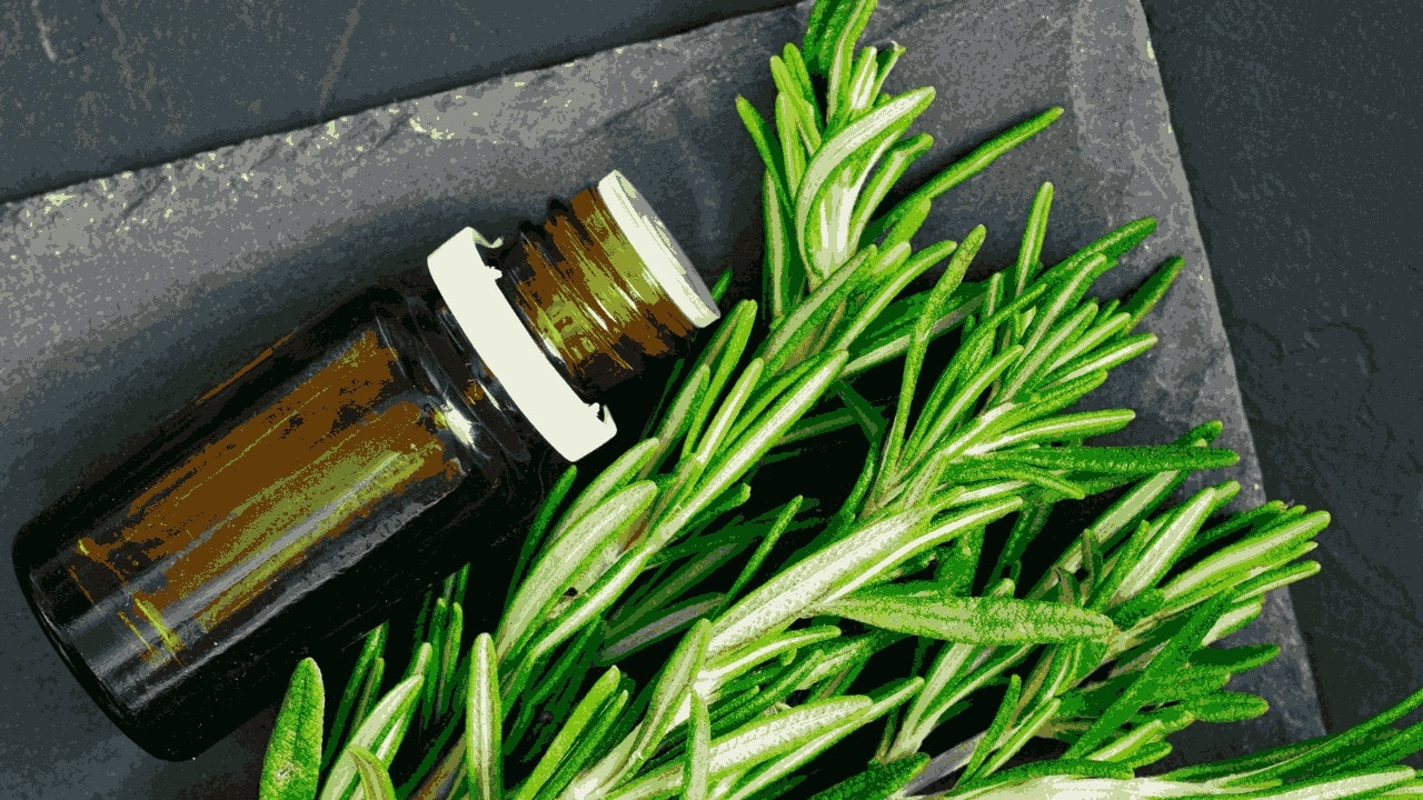 Common Mistakes When Using Rosemary Oil for Hair