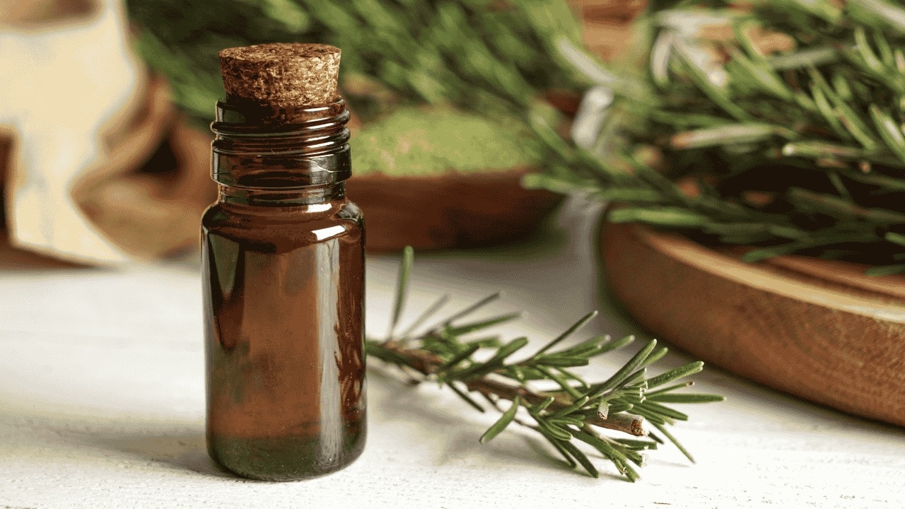 How Does Rosemary Oil Help with Hair Growth