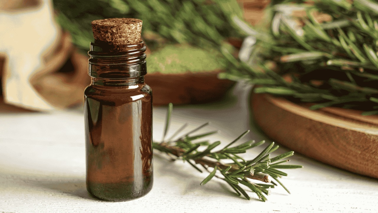How Does Rosemary Oil Help with Hair Growth