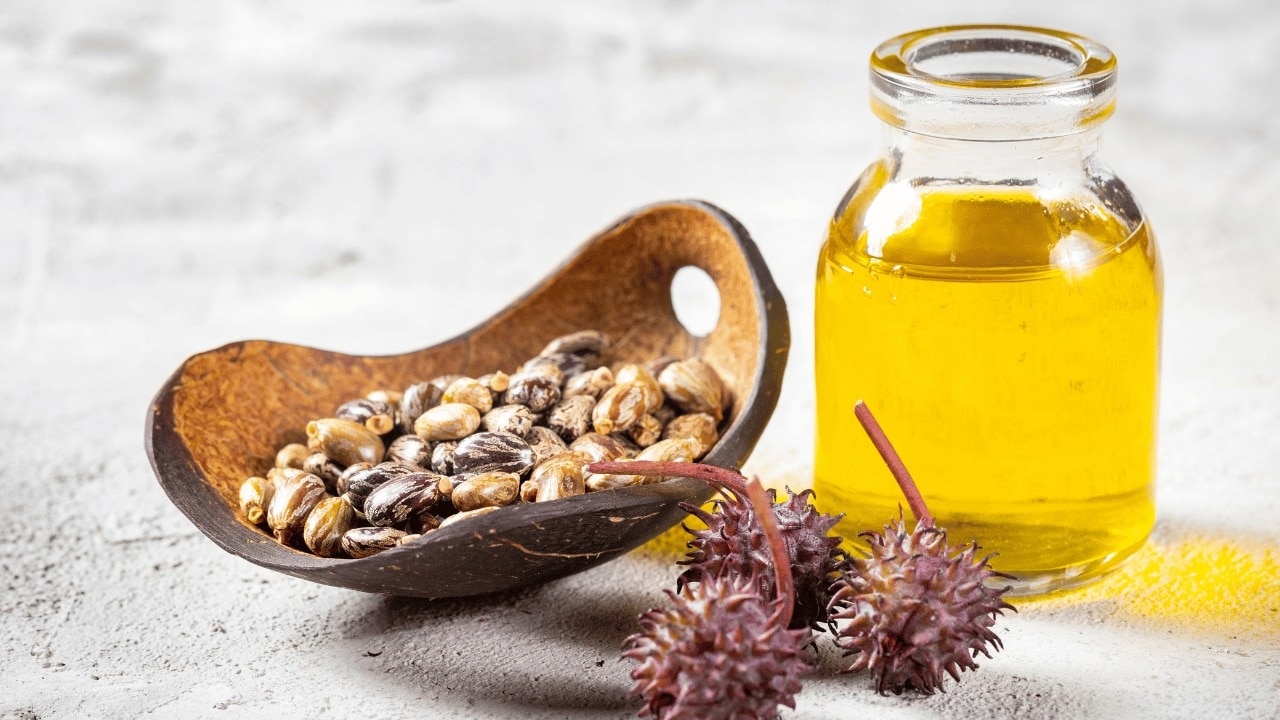 Castor-Oil