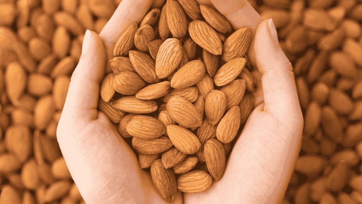 Soaked Almonds for healthy Pregnancy