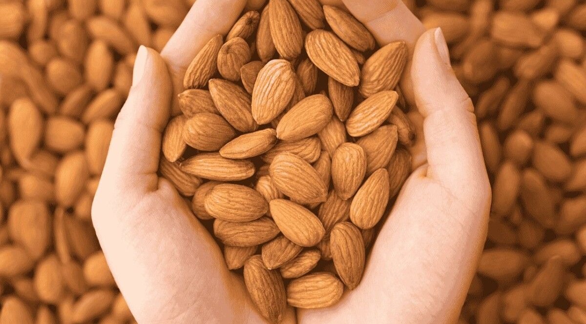 Soaked Almonds for healthy Pregnancy