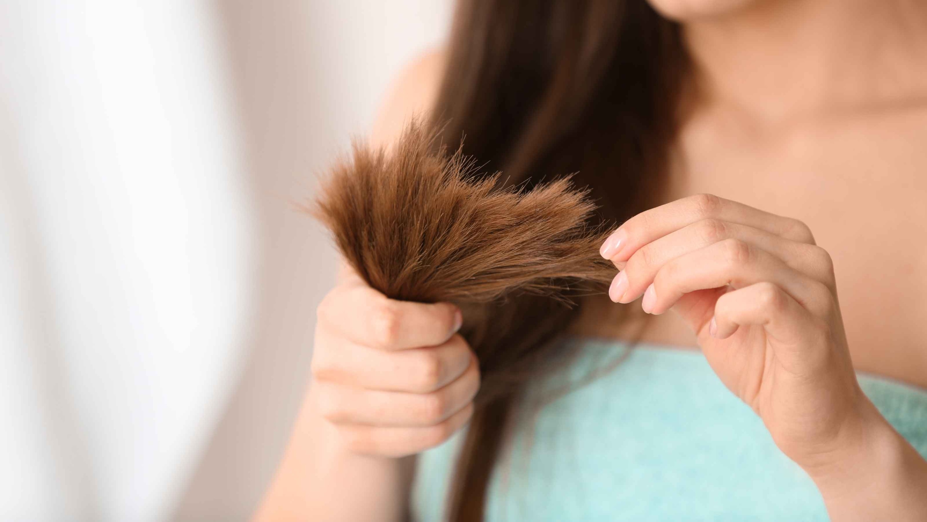 Fights Dandruff and Soothes Itchy Scalp