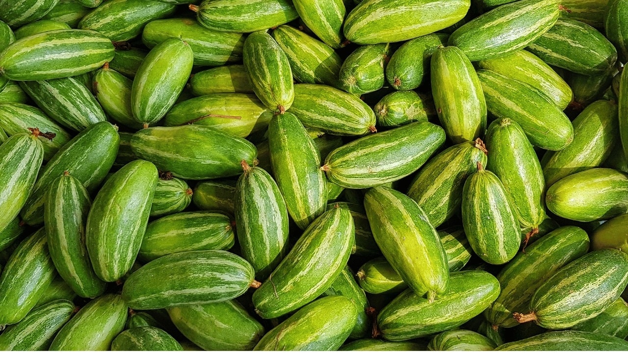 Cucumber