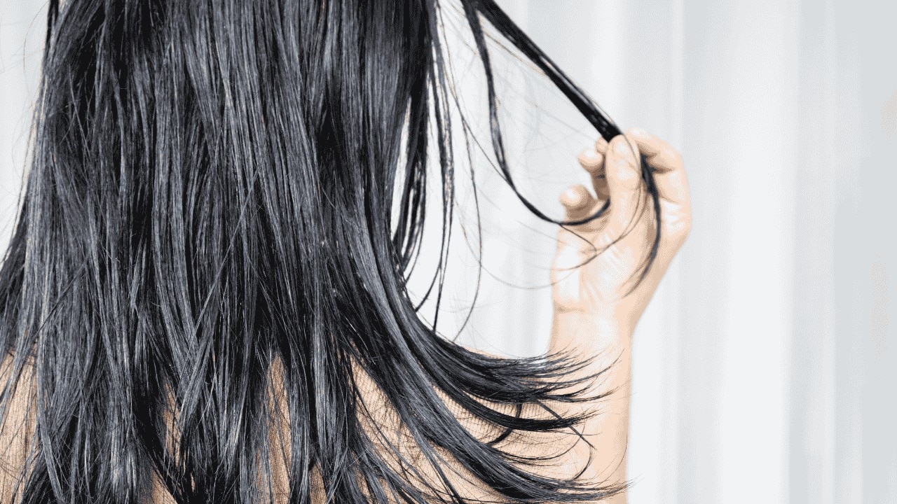 Reasons for oily scalp