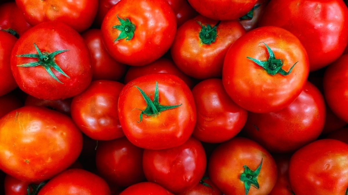 Tomatoes