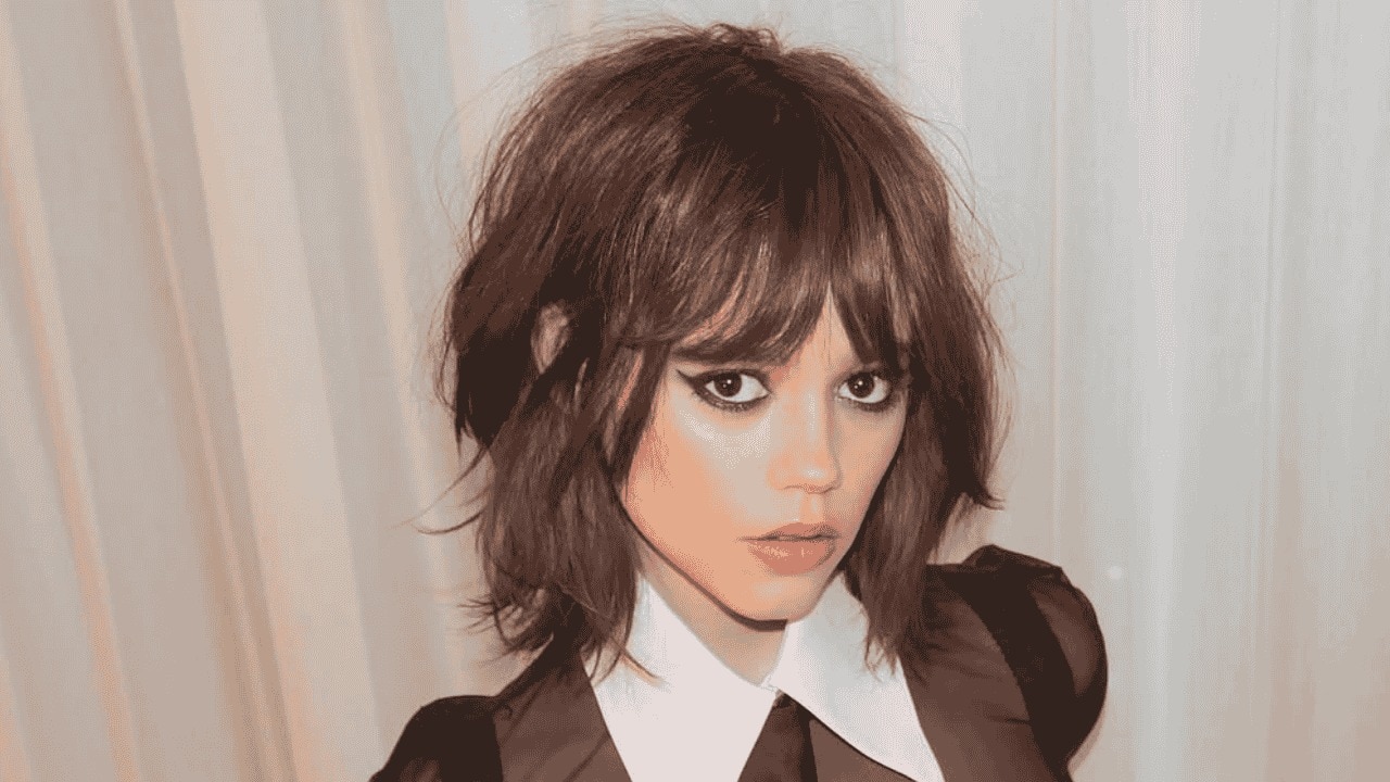Shaggy Wolf Cut