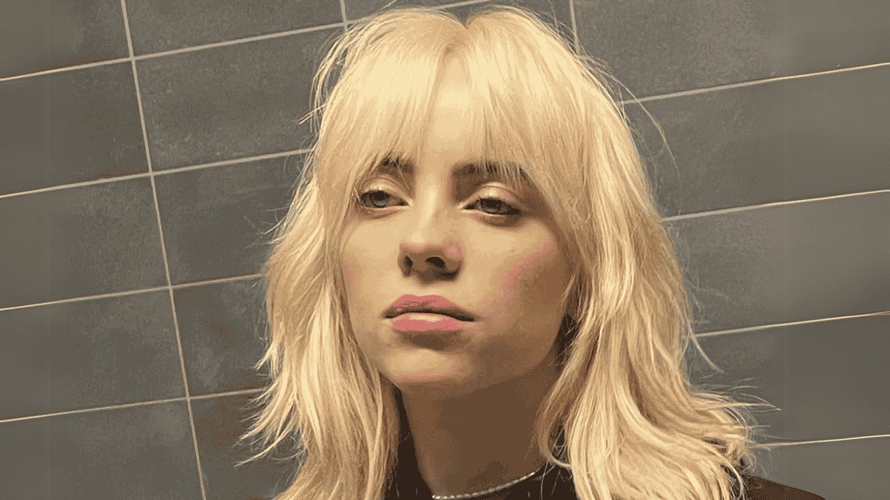 Wolf Cut with Curtain Bangs