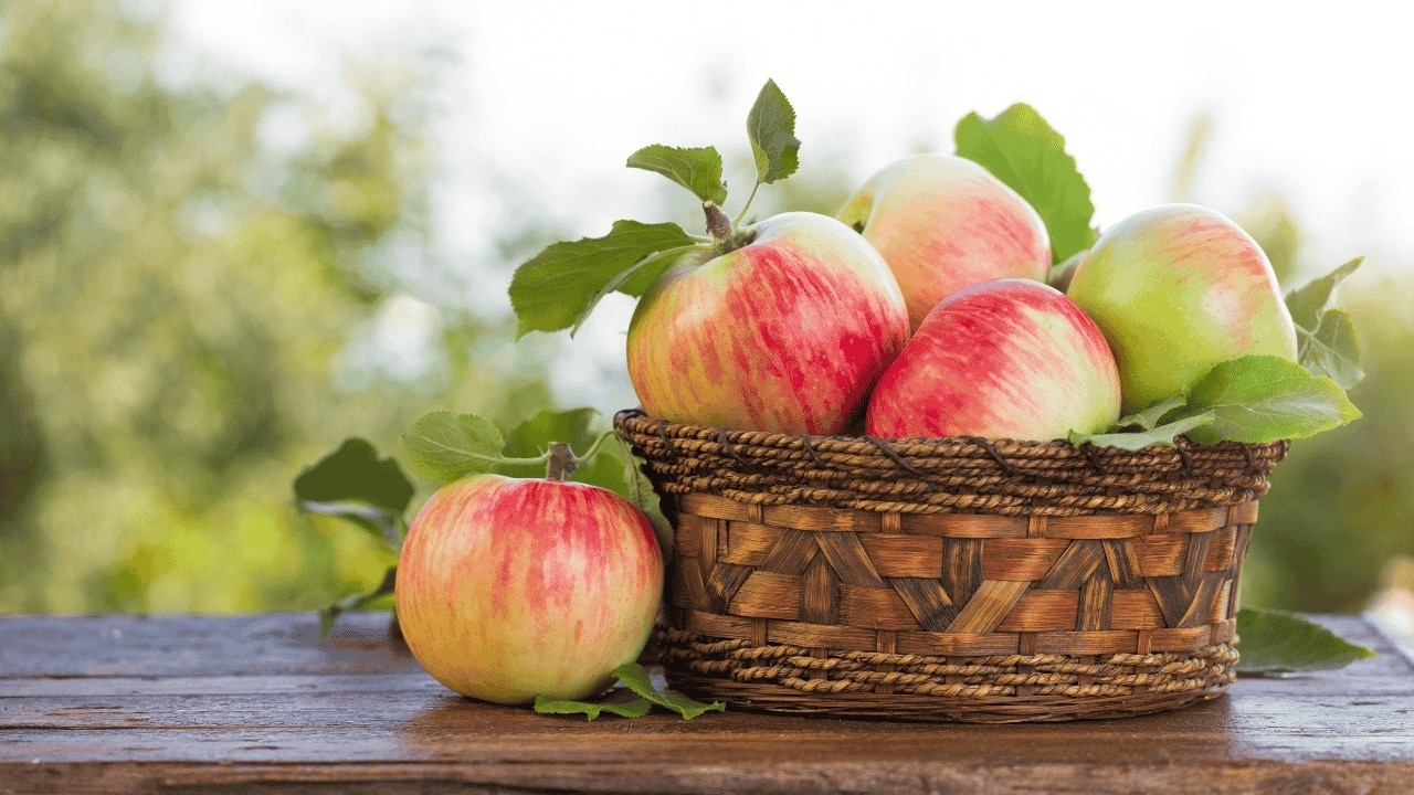 6. Apples