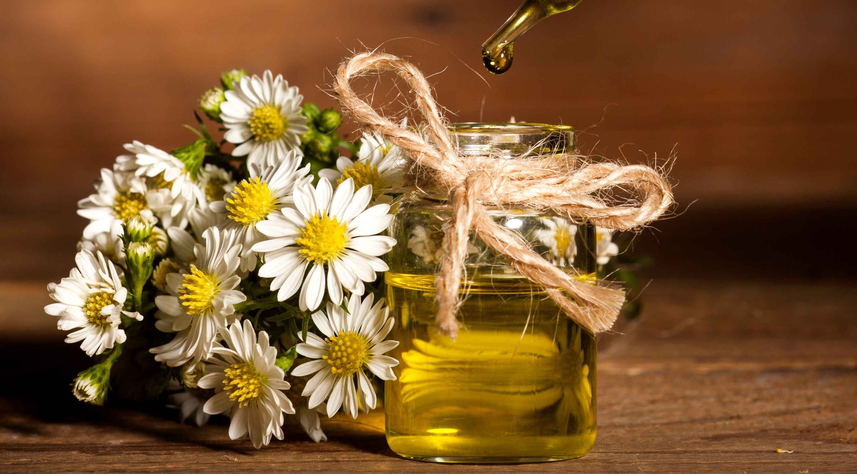 Chamomile oil