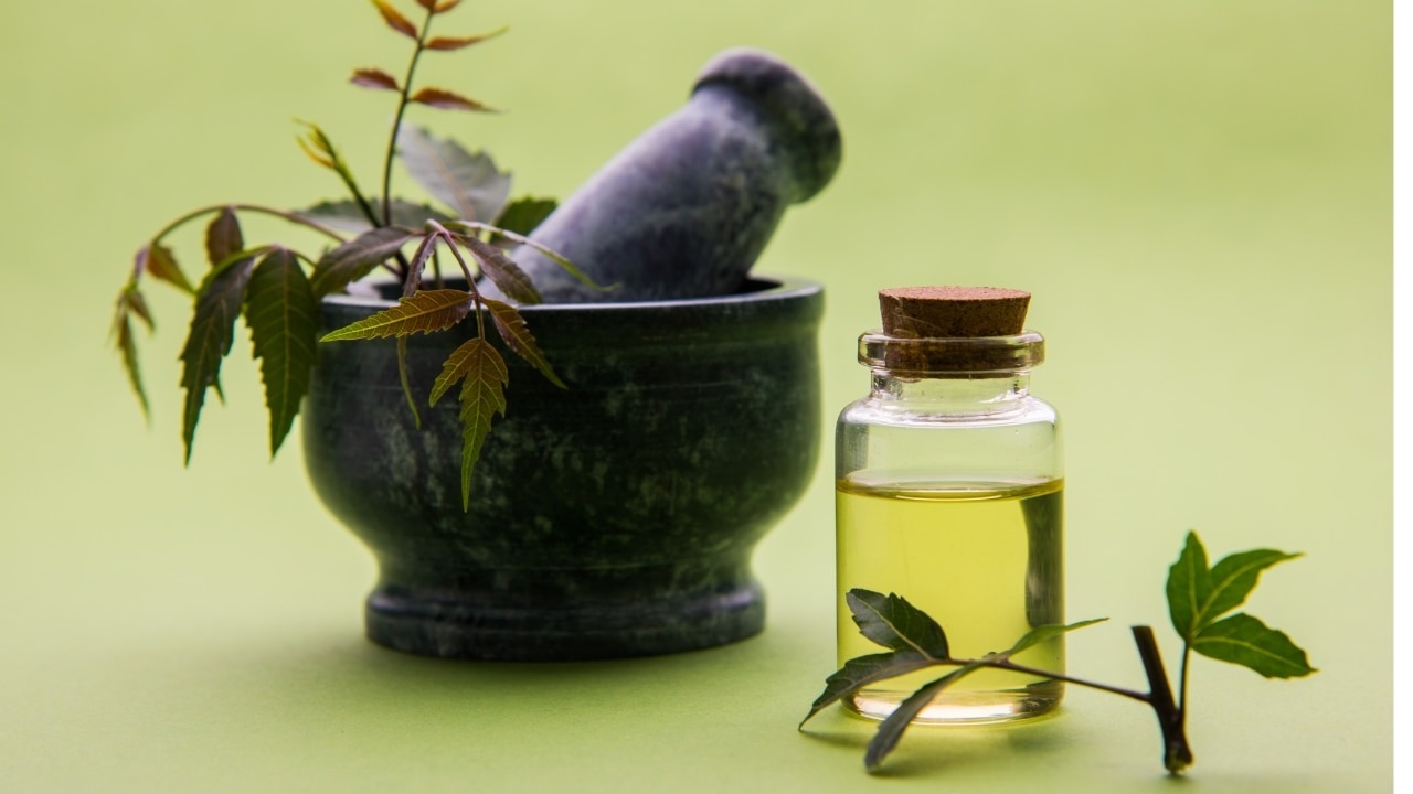 FAQs-about-neem-leaves