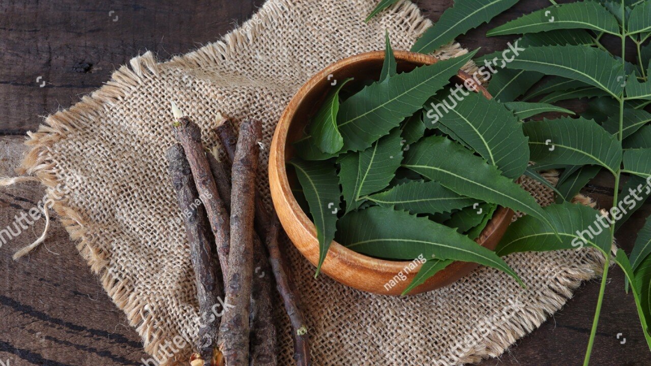 Neem-leaves-helps-to-regulate-blood-sugar-levels