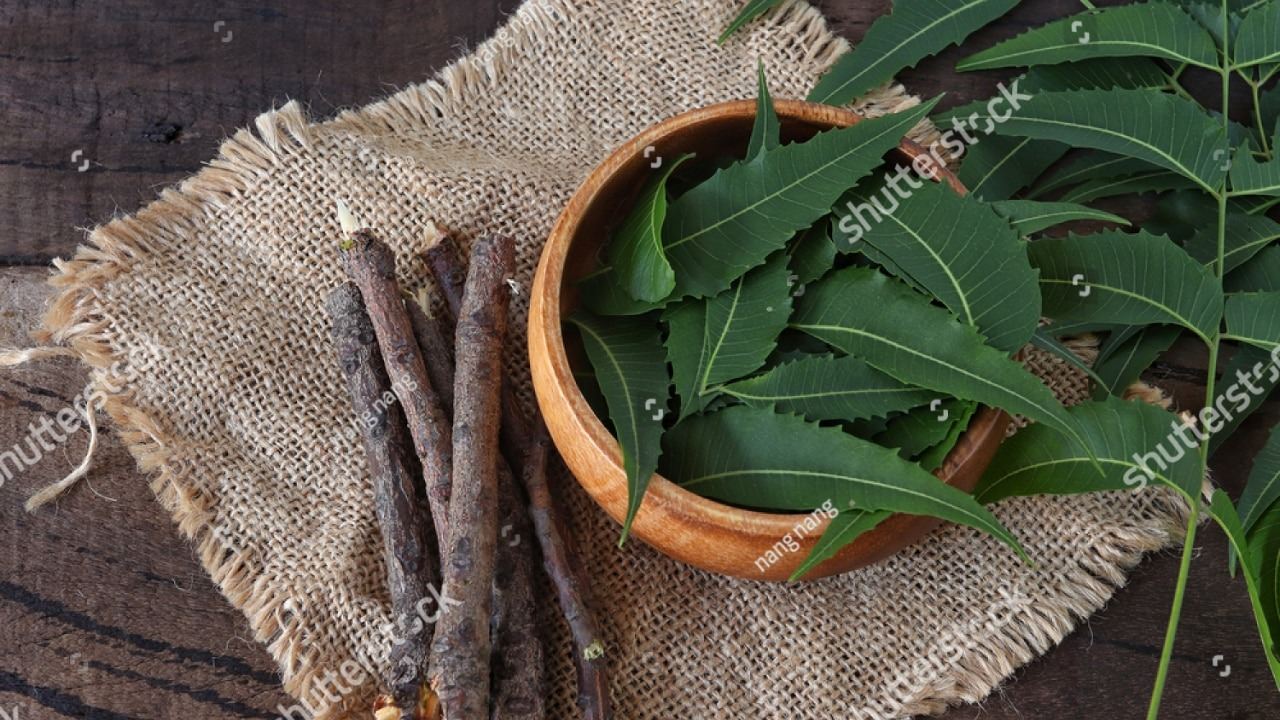 Neem-leaves-helps-to-regulate-blood-sugar-levels