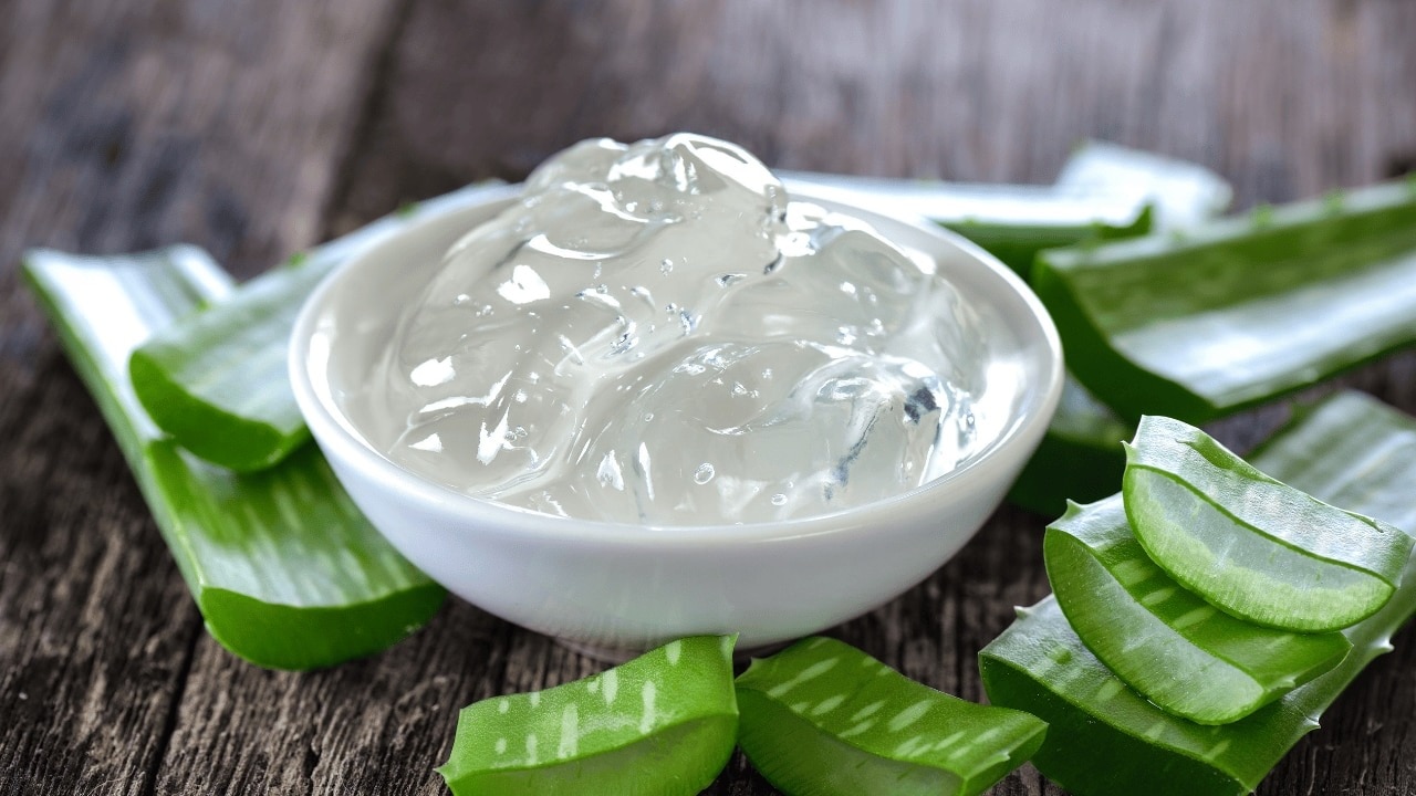 Aloe Vera and Rose