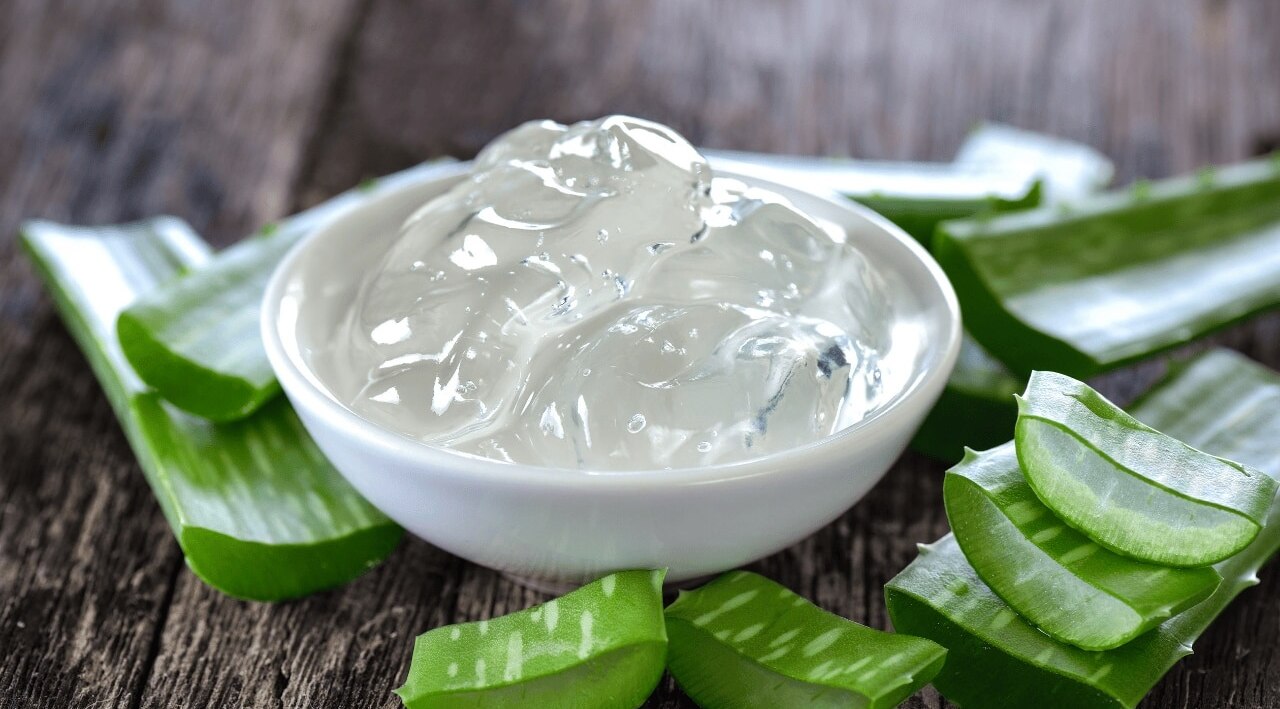 Aloe Vera and Rose