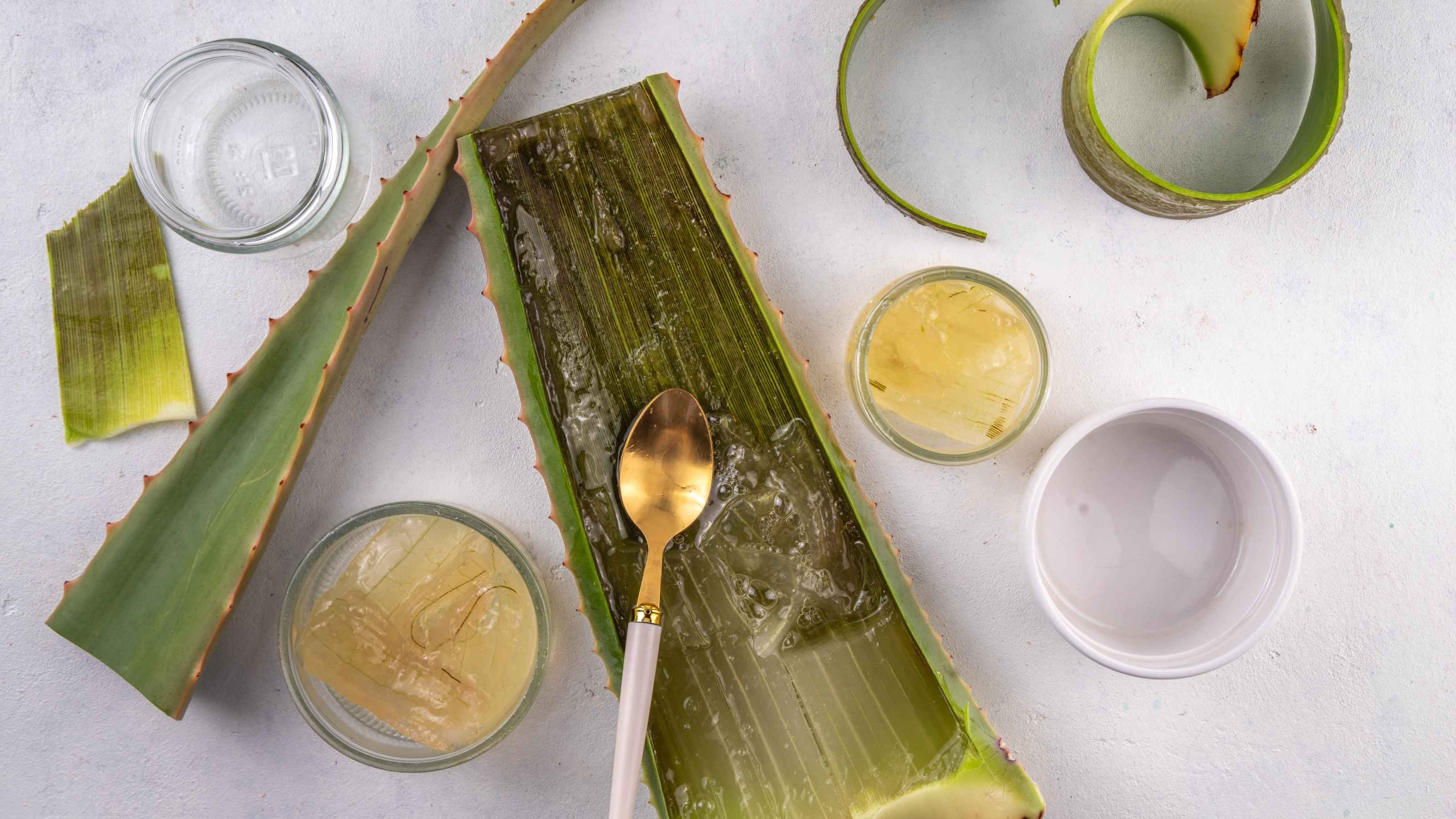 Cleanse to Start Fresh