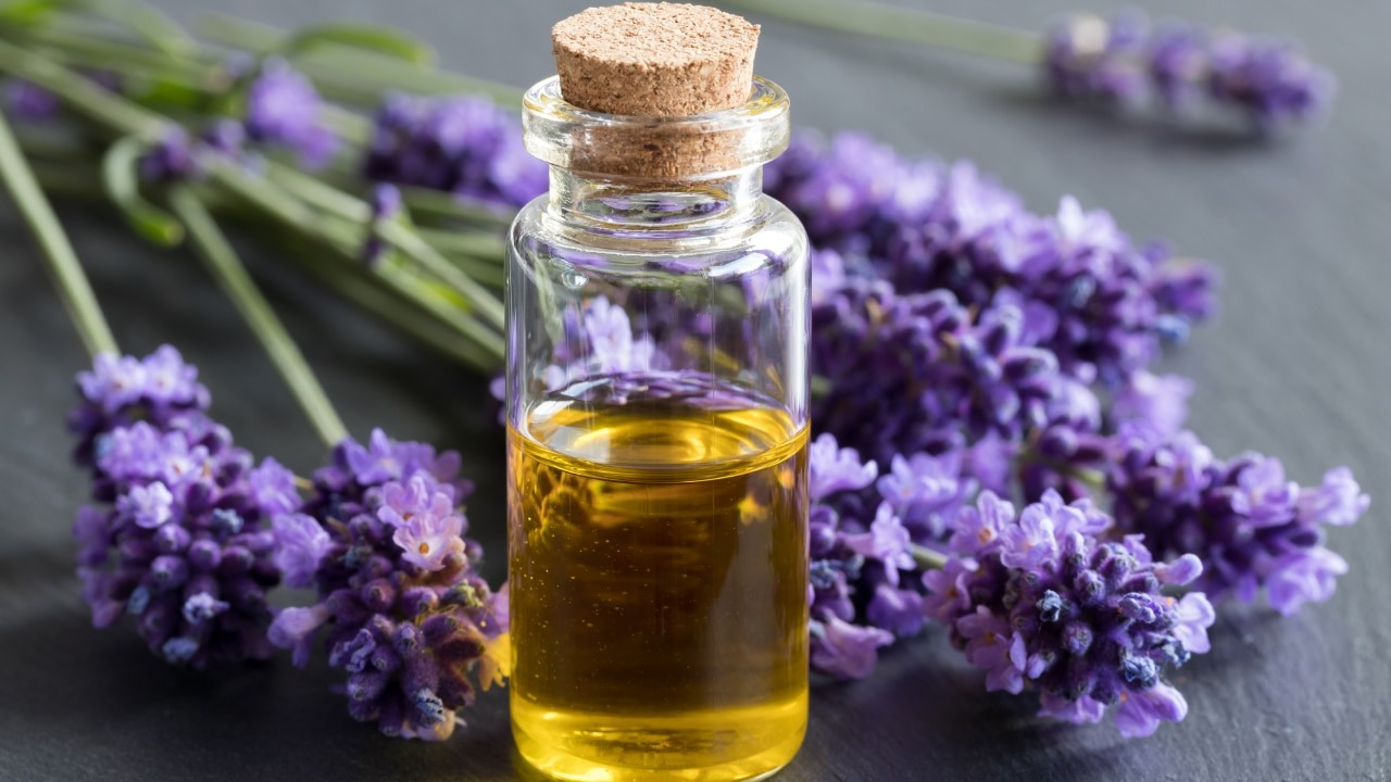 Lavender essential oil for a bacteria-free scalp