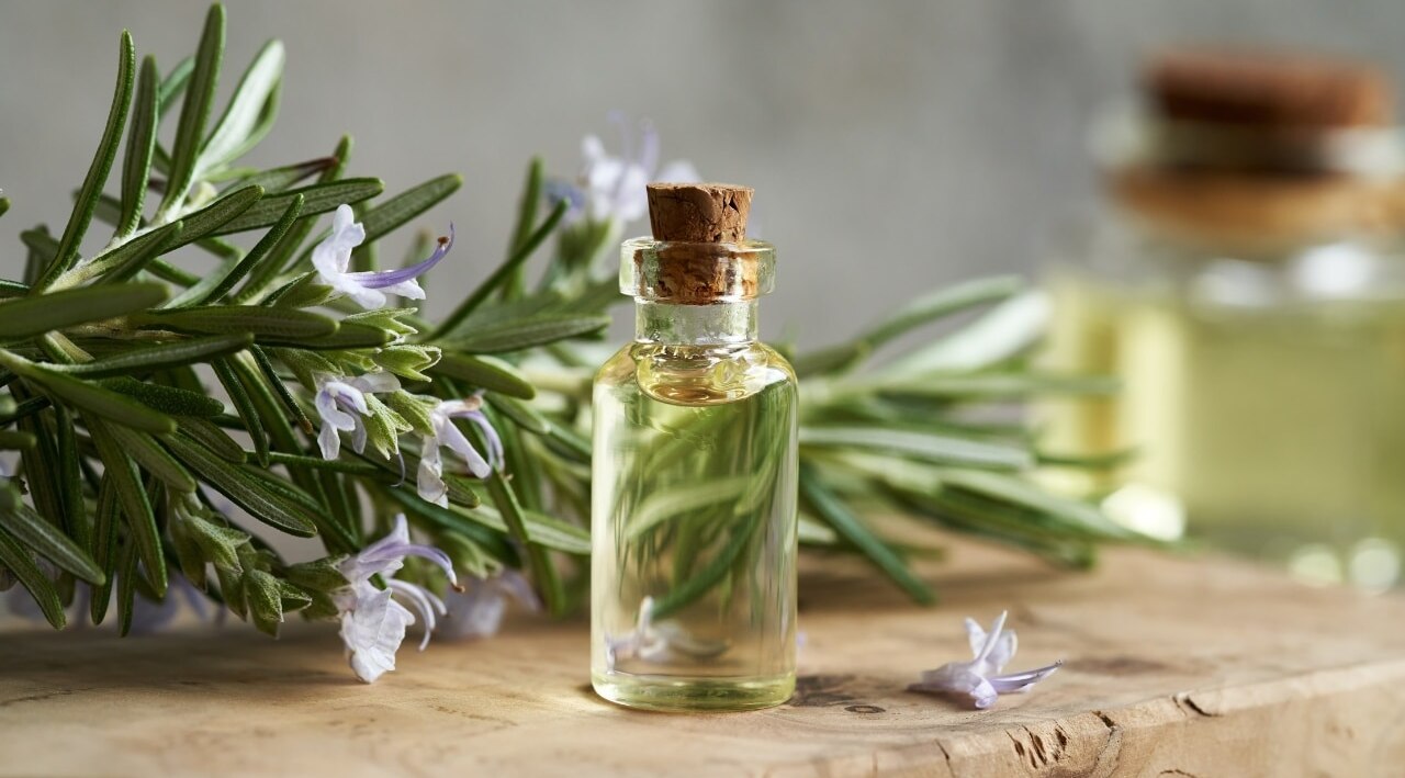 Rosemary essential oil to boost blood circulation on scalp  