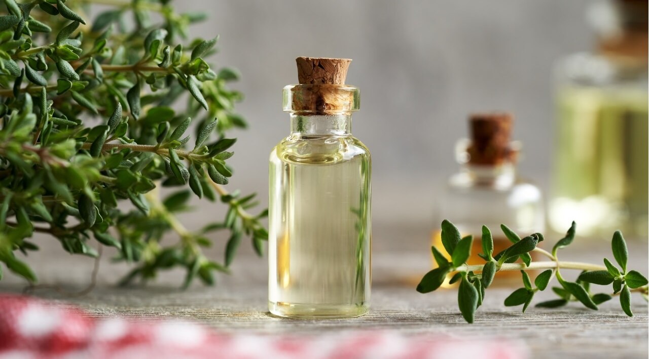 Thyme essential oil for new hair growth  