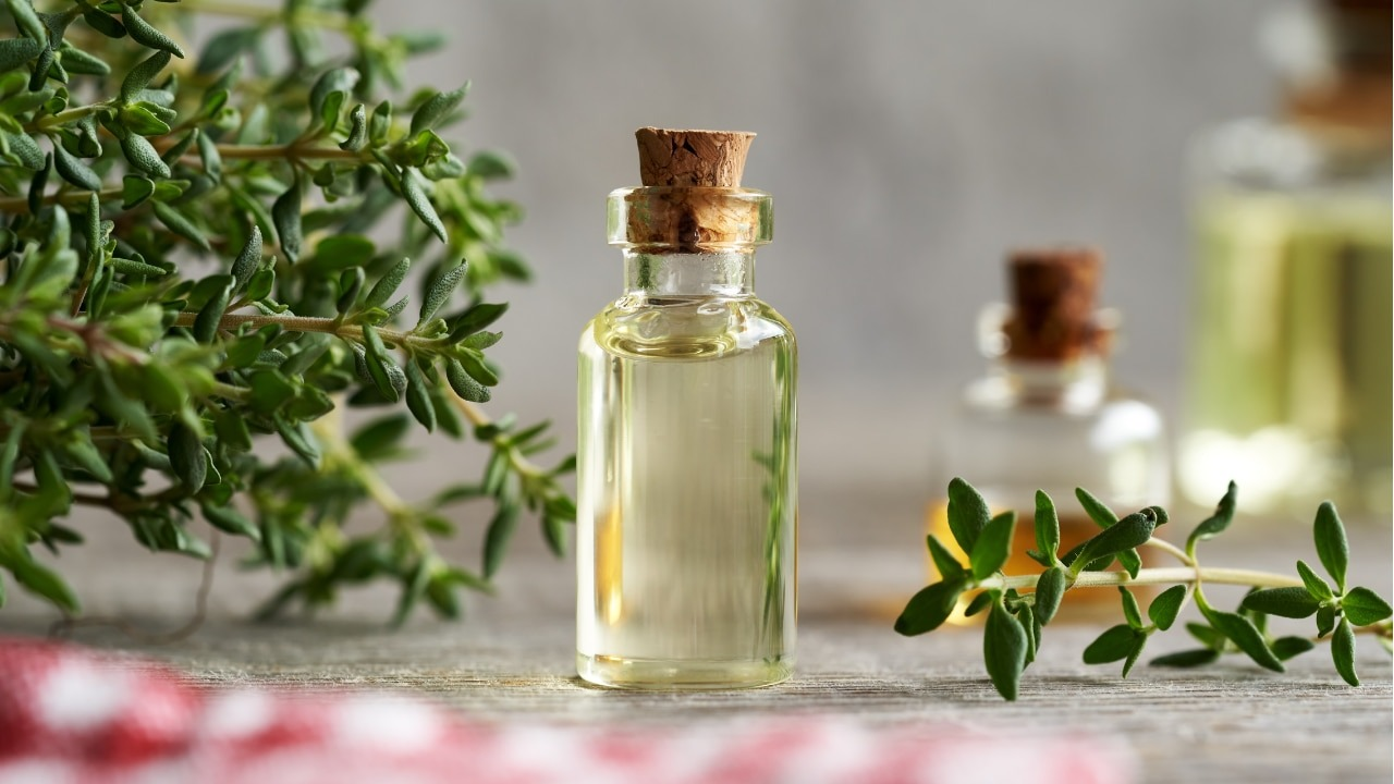 Thyme essential oil for new hair growth