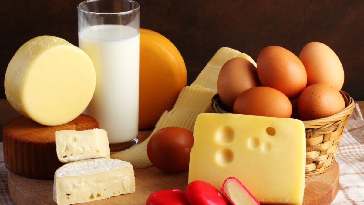 Dairy