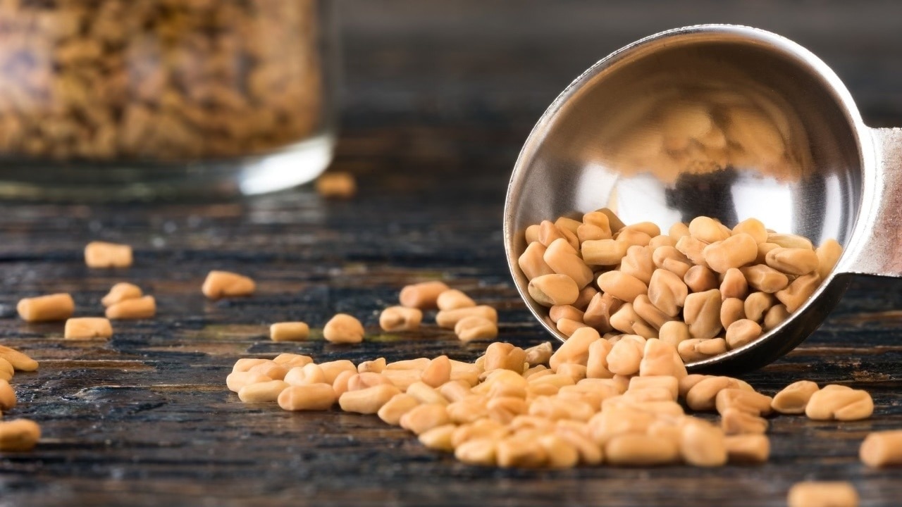 Fenugreek