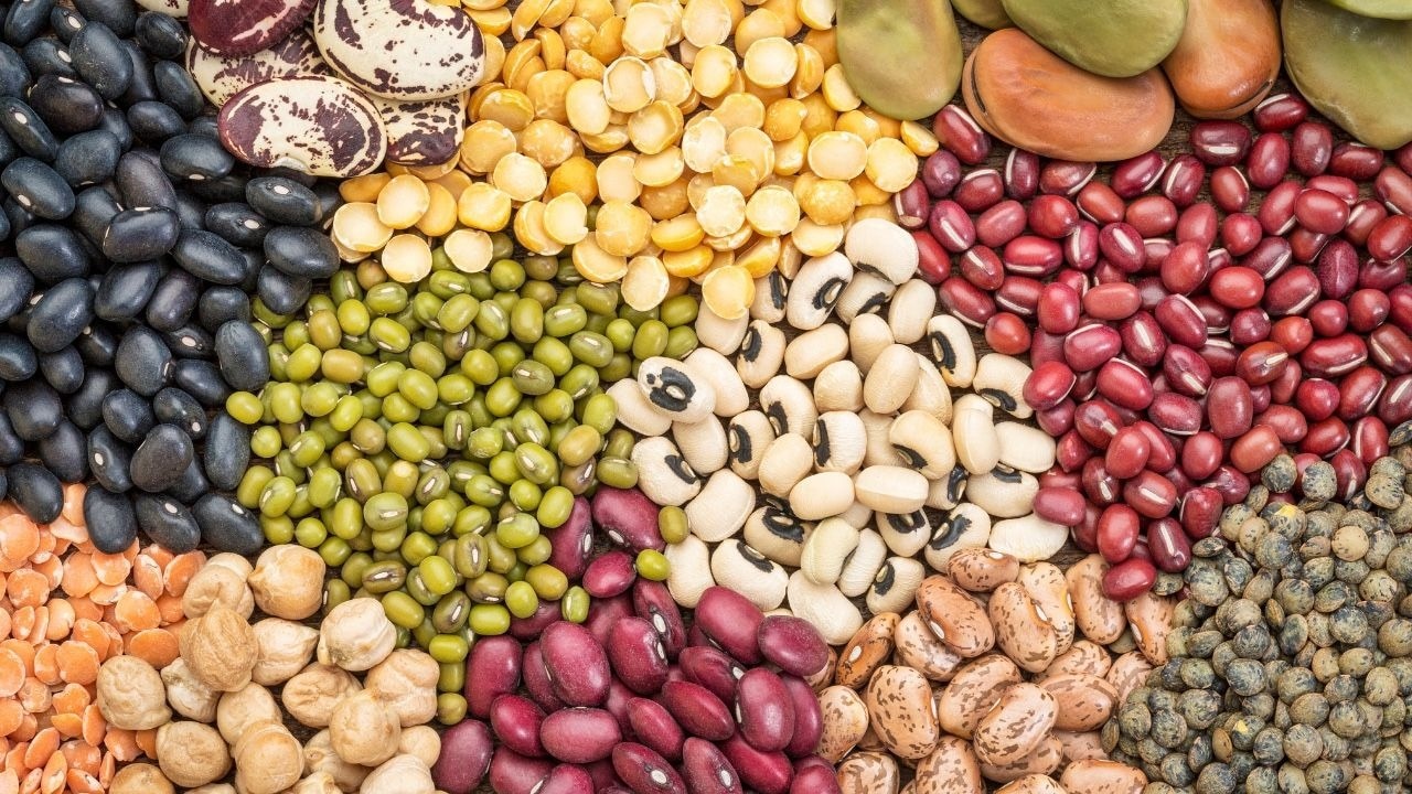 Lentils, Peas and Beans