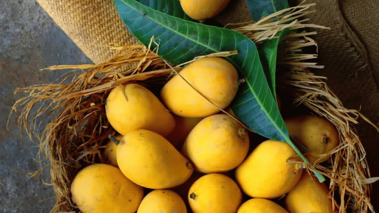 Mangoes