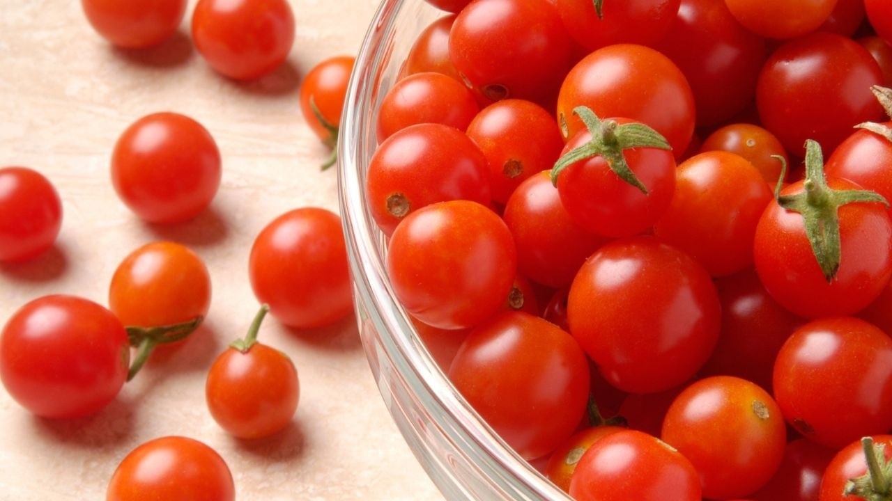 Tomatoes