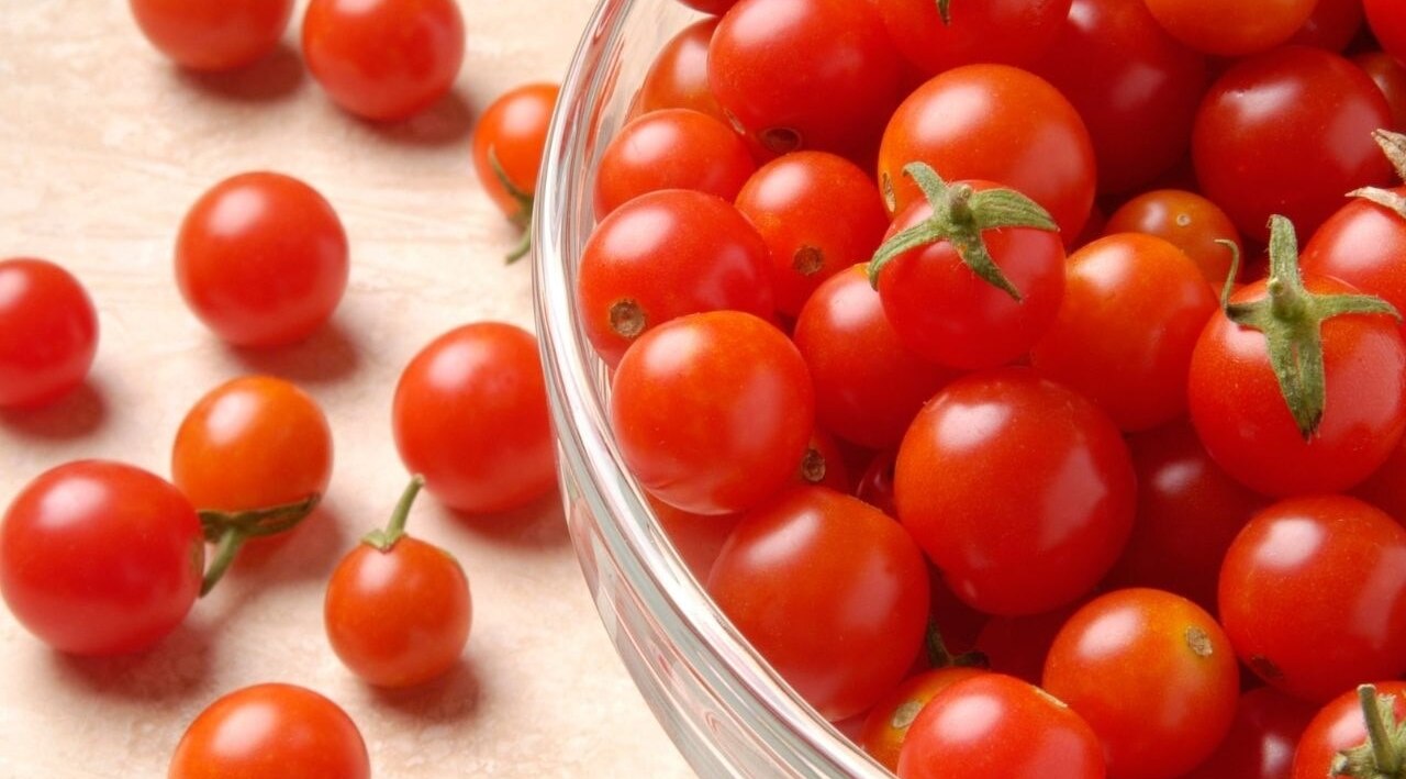 Tomatoes
