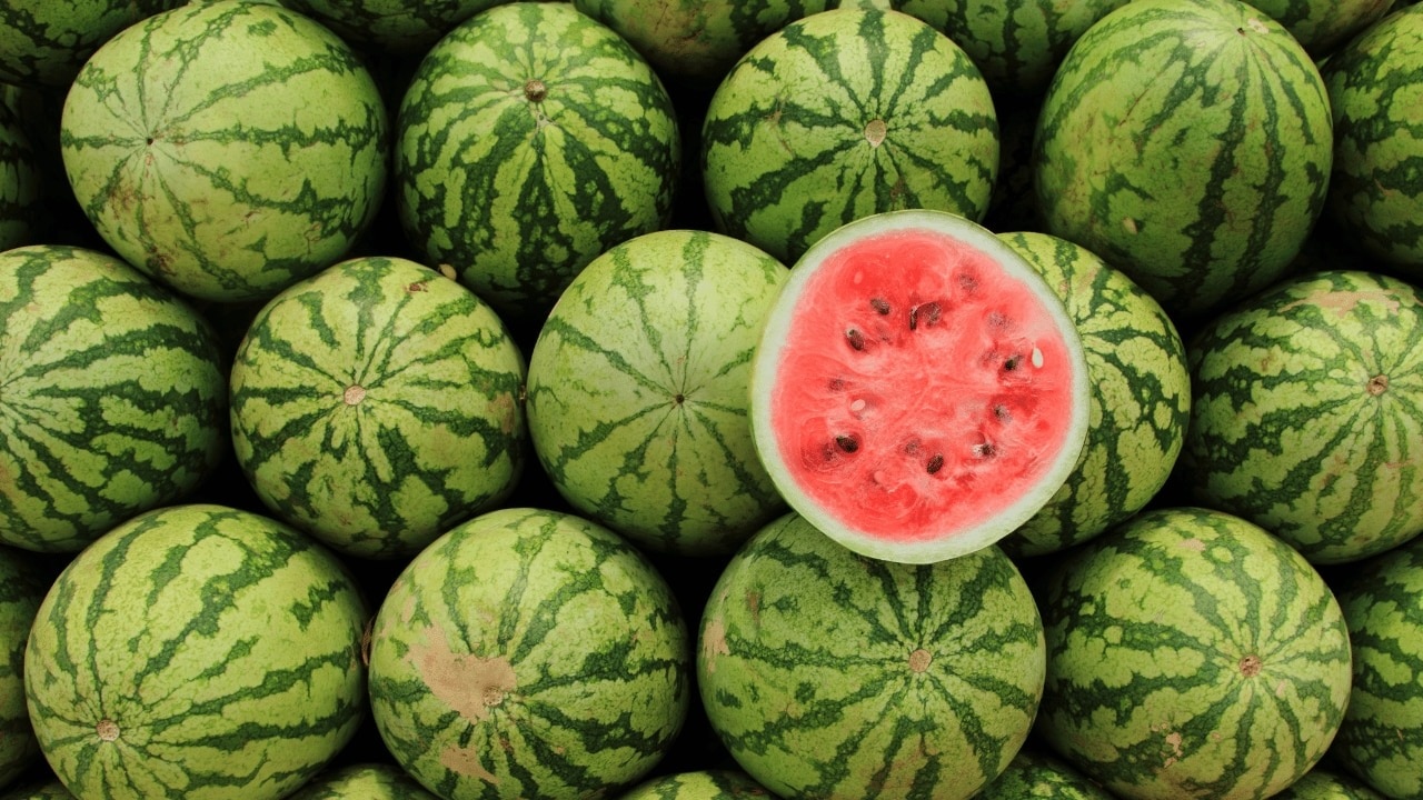 Watermelon