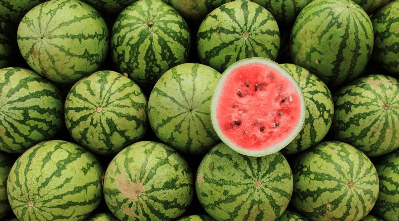 Watermelon
