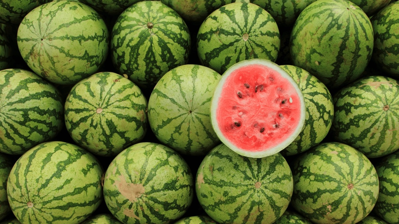Watermelon