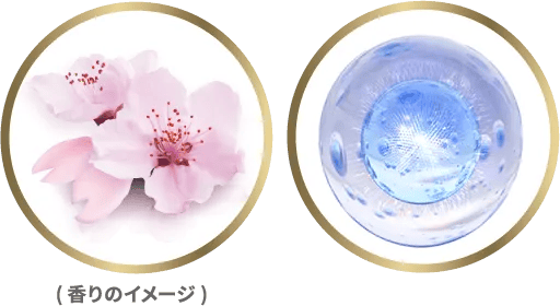 成分イメージ