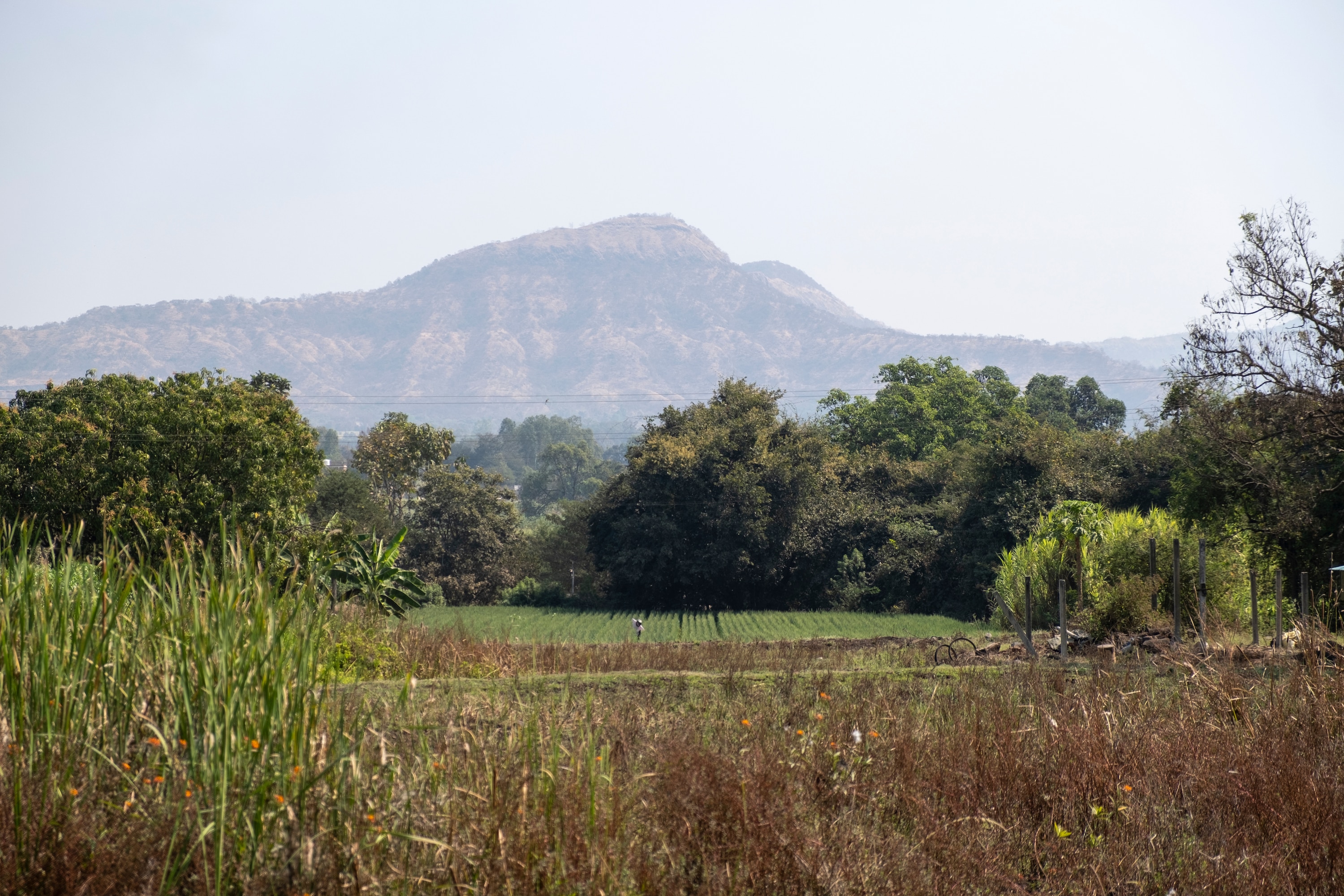 Hero Image for Can Your Innovation Boost Farmers’ Livelihoods or Drive Plastic Circularity in India?