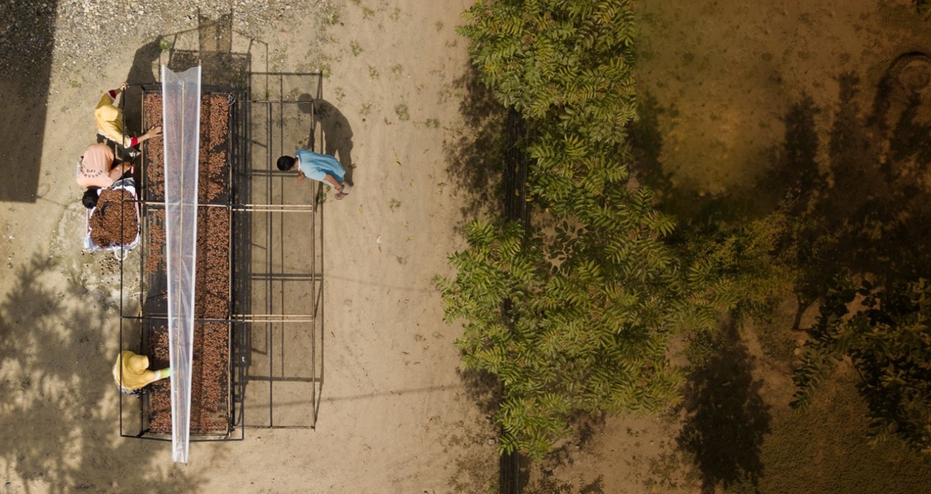 Unilever Bangladesh, the UK Government and EY jointly award two Bangladeshi...