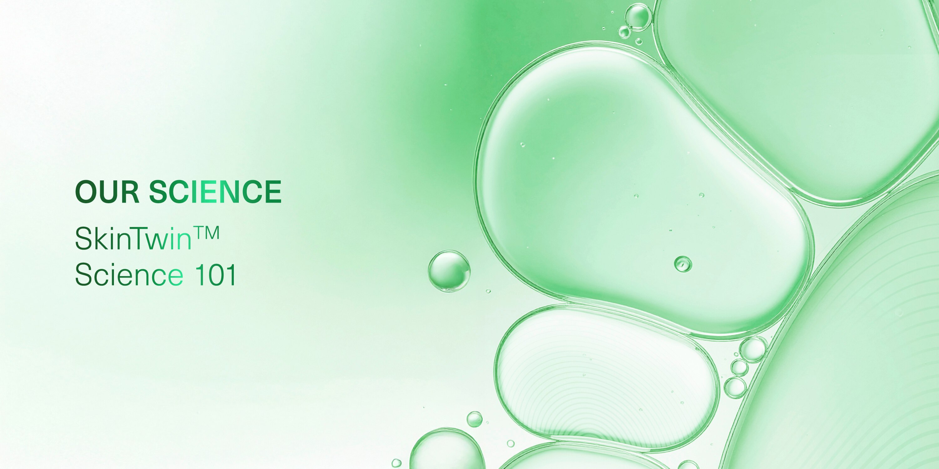 Build Your Skincare Regime: Step 2 - Serums