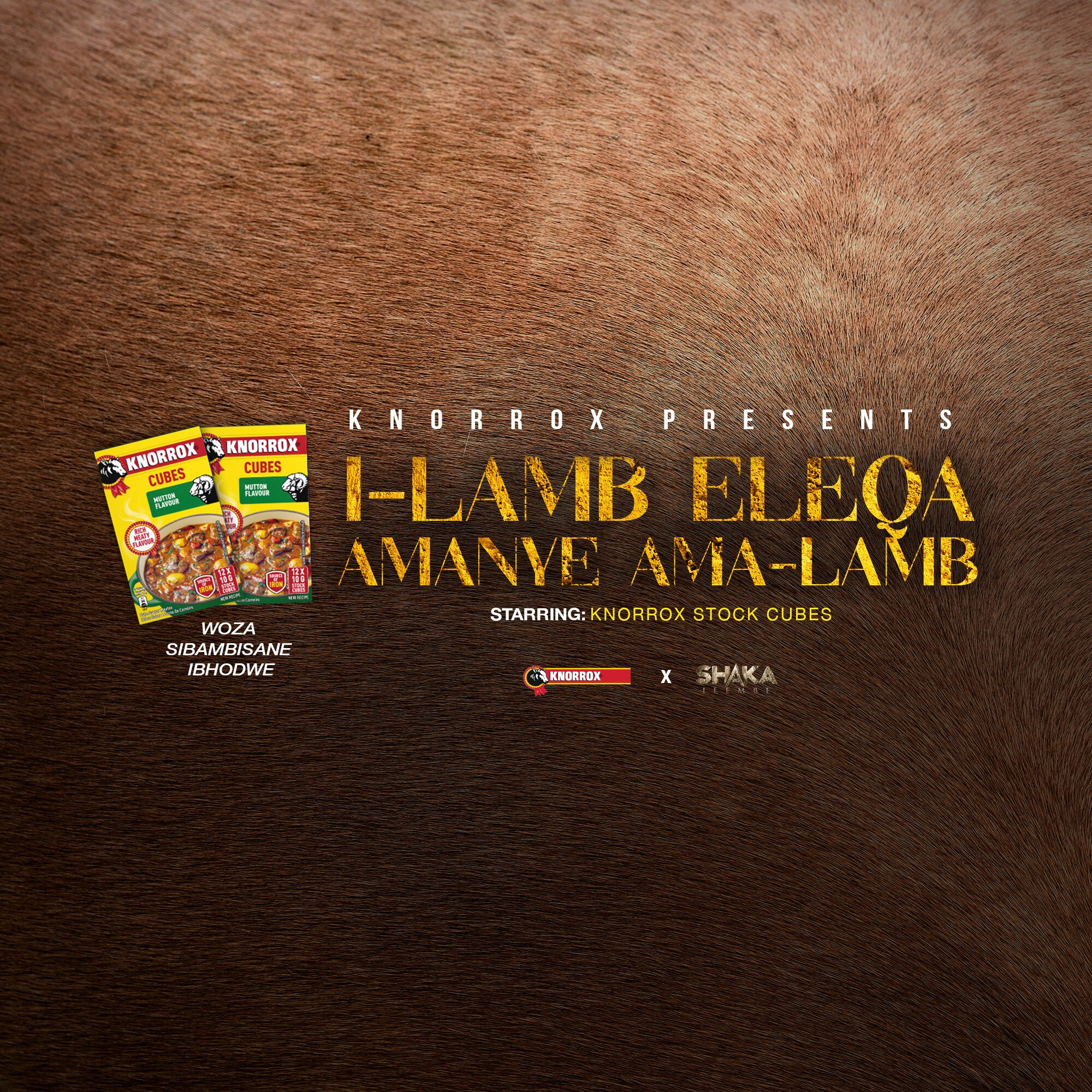Knorrox & Shaka iLembe